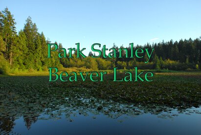 Canada Et 2007 Park Stanley Beaver Lake 2 061 entrée.jpg