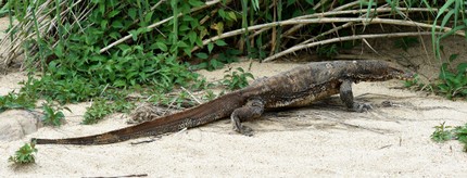 SRI_5949 copie.jpg