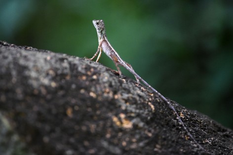 SRI_7955 copie.jpg